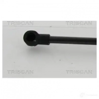 Амортизатор багажника, упор задней двери TRISCAN T GZ3AW 5710476138606 871021210 1153930 - Изображение 2