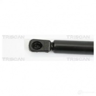 Амортизатор багажника, упор задней двери TRISCAN B06G RI 871018218 5709147611098 1153881 - Изображение 2