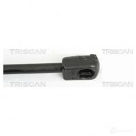Амортизатор багажника, упор задней двери TRISCAN B06G RI 871018218 5709147611098 1153881 - Изображение 3