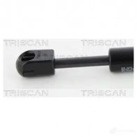 Амортизатор багажника, упор задней двери TRISCAN TYDC X6 871025262 5710476094940 1154180 - Изображение 3