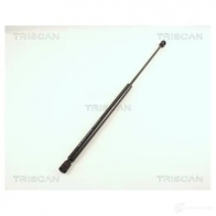 Амортизатор багажника, упор задней двери