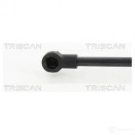 Амортизатор багажника, упор задней двери TRISCAN 4M C6B2R 1154297 871028295 5710476136817 - Изображение 2