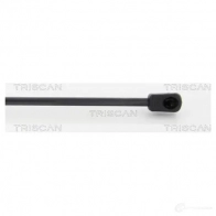 Амортизатор багажника, упор задней двери TRISCAN 871023230 5710476094490 BUZH E 1154001 - Изображение 3
