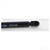 Амортизатор багажника, упор задней двери TRISCAN 871023229 IIU7H K 5710476082541 1154000 - Изображение 2