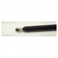 Амортизатор багажника, упор задней двери TRISCAN 5709147101056 A6 V3XE 87101010 1153405 - Изображение 2