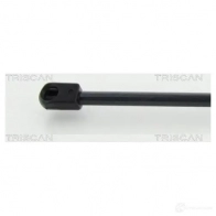 Амортизатор багажника, упор задней двери TRISCAN DF 3A2S 8710292026 1154378 5710476154477 - Изображение 2