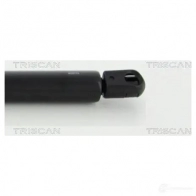 Амортизатор багажника, упор задней двери TRISCAN DF 3A2S 8710292026 1154378 5710476154477 - Изображение 3