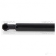 Амортизатор багажника, упор задней двери TRISCAN DD FN4 871012219 5710476090911 1153546 - Изображение 2