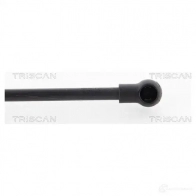 Амортизатор багажника, упор задней двери TRISCAN DD FN4 871012219 5710476090911 1153546 - Изображение 3