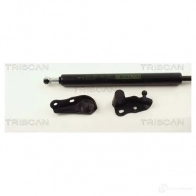 Амортизатор багажника, упор задней двери TRISCAN QC3E0 Y5 5709147846605 871013264 1153603 - Изображение 2