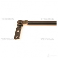 Амортизатор багажника, упор задней двери TRISCAN 1154562 871040212 D4V IFFU 5709147835630 - Изображение 2
