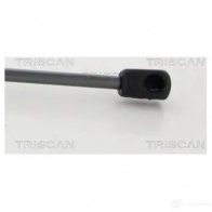 Амортизатор багажника, упор задней двери TRISCAN 5710476293237 1YW7 1YM 8710292051 1213704546 - Изображение 3