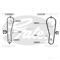 Ремень ГРМ TRISCAN 86455240xs SOW25 17 Suzuki Swift
