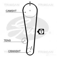 Ремень ГРМ TRISCAN 86455386xs SFL UZU Toyota Corolla