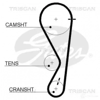 Ремень ГРМ TRISCAN A JF534 Hyundai i10 (PA) 1 Хэтчбек 1.1 68 л.с. 2008 – 2013 86455511xs