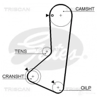 Ремень ГРМ TRISCAN 86455254xs Mitsubishi Pajero 2 (V23, V43, V23C) Внедорожник 2д 2.4 (V41W. V21W. V21C) 112 л.с. 1991 – 2000 T3 43LBX
