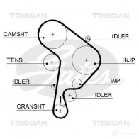 Ремень ГРМ TRISCAN 86455559xs Seat Toledo (1M) 2 1998 – 2004 RA1J DU8