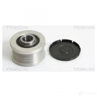Приводной ремень, поликлиновой TRISCAN 6JYGG L 8640400906sf 1149772 - Изображение 2