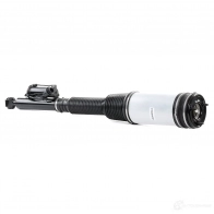 Стойка пневматической подвески, пневмостойка RIDEX 4118a0005 069FAL W 1437668304