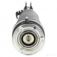 Стойка пневматической подвески, пневмостойка RIDEX 92GT6W W 4118a0071 1438221685 - Изображение 5