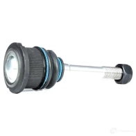 Шаровая опора RIDEX 2462s0103 1437701964 U5A FL - Изображение 5