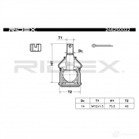 Шаровая опора RIDEX WN0 DAGW 2462s0022 1437702448 - Изображение 2