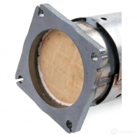 Катализатор RIDEX 1437648822 EN F63 429c0111 - Изображение 8
