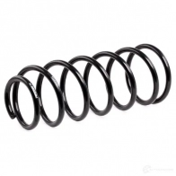 Пружина RIDEX Q 5ZVX 188c0356 1437703604 - Изображение 4