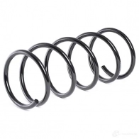 Пружина RIDEX F6P7X 5W 1437703646 188c0427 - Изображение 3