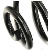 Пружина RIDEX 188c0318 SS7O K 1437702537 - Изображение 4