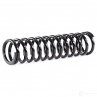 Пружина RIDEX C3 JU89 188c0448 1437704630