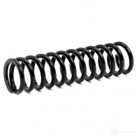 Пружина RIDEX 1437704679 188c0362 DPF MVG - Изображение 3