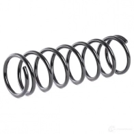 Пружина RIDEX 188c0468 DTWG 4S 1437702858 - Изображение 3