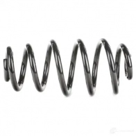 Пружина RIDEX 49Q AEY 188c0085 1437703158 - Изображение 3