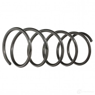 Пружина RIDEX 188c0101 ZH2Y BKS 1437705002