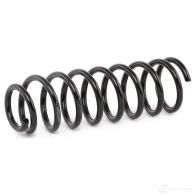 Пружина RIDEX 1437703184 E TW6L 188c0134 - Изображение 4
