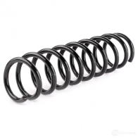 Пружина RIDEX WW TSZ2 1437703409 188c0315 - Изображение 2