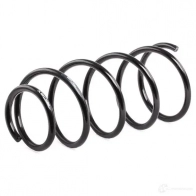 Пружина RIDEX 188c0506 1437704128 XW6 C1 - Изображение 3