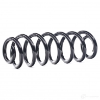 Пружина RIDEX 188c0732 1 6Y95 1438631094 - Изображение 1
