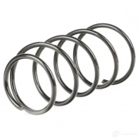 Пружина RIDEX 6PHK 0 1437703127 188c0232 - Изображение 4