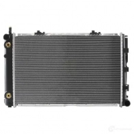 Радиатор охлаждения двигателя RIDEX 470r0095 LRO 3FS 1437646074 - Изображение 3