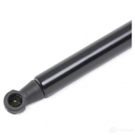Амортизатор капота RIDEX 1437745498 4DD8 U 514g0079 - Изображение 3