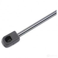 Амортизатор капота RIDEX 1437745498 4DD8 U 514g0079 - Изображение 4