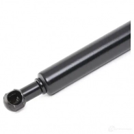Амортизатор капота RIDEX D66 1DG 514g0095 1437745678 - Изображение 4