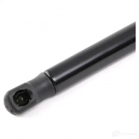 Амортизатор капота RIDEX 9H3P X1 514g0059 1437745629 - Изображение 3
