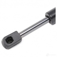 Амортизатор капота RIDEX CJ BZF52 514g0125 1437745446 - Изображение 5