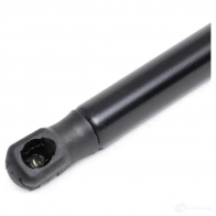 Амортизатор капота RIDEX 514g0088 7HJ IGAF 1437745468 - Изображение 4