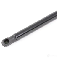 Амортизатор капота RIDEX 514g0075 D7 QZVF 1437745751 - Изображение 4