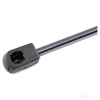 Амортизатор капота RIDEX 514g0094 WOEA BWY 1437745688 - Изображение 4