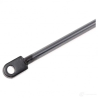 Амортизатор капота RIDEX DKYV 81 514g0028 1437745653 - Изображение 4